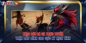 Theo Dõi Đá Gà Trực Tuyến Trận Đấu Đỉnh Cao Cực Kỳ Kịch Tính
